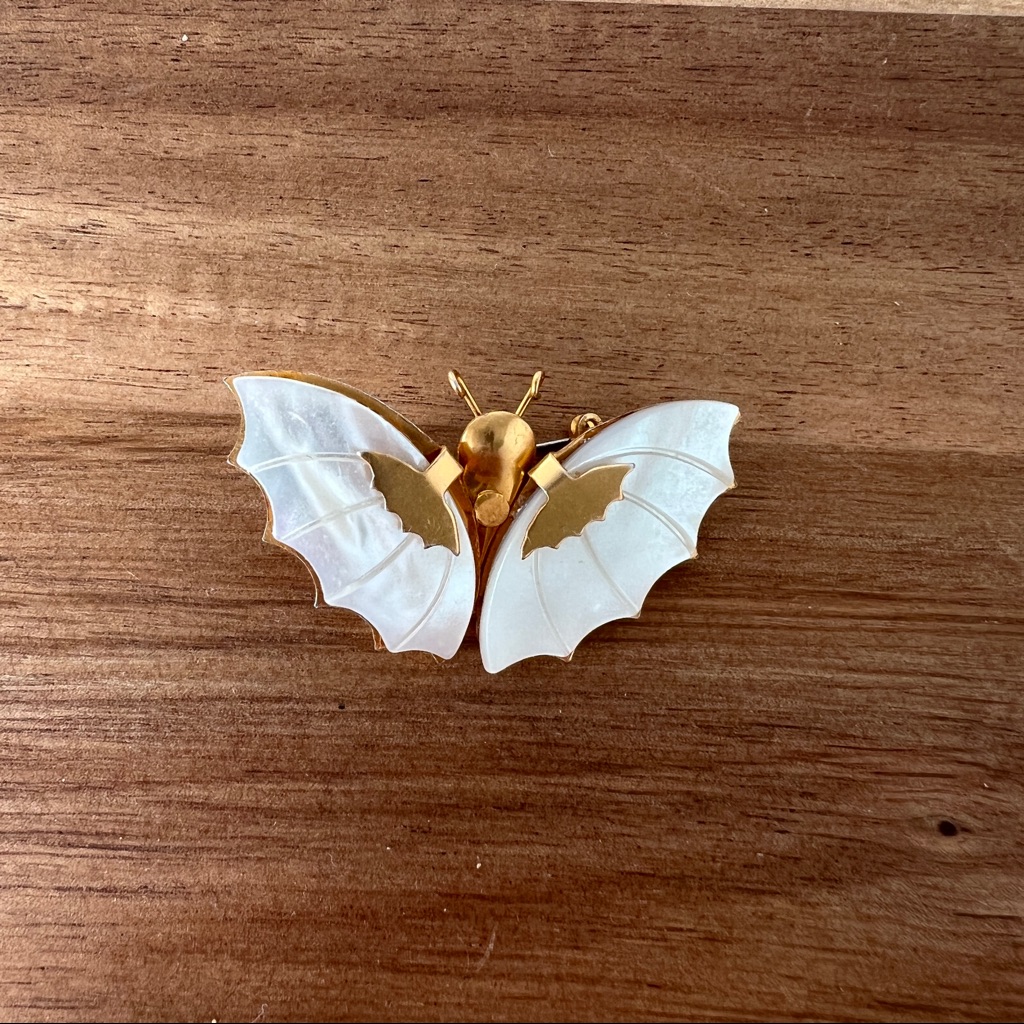 Mother Of Pearl Butterfly Pin